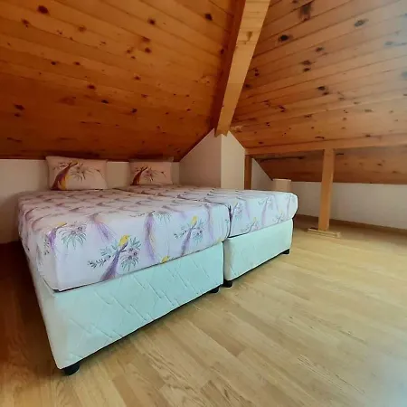 아파트 Cosy At The Foot Of Pirin Mountain